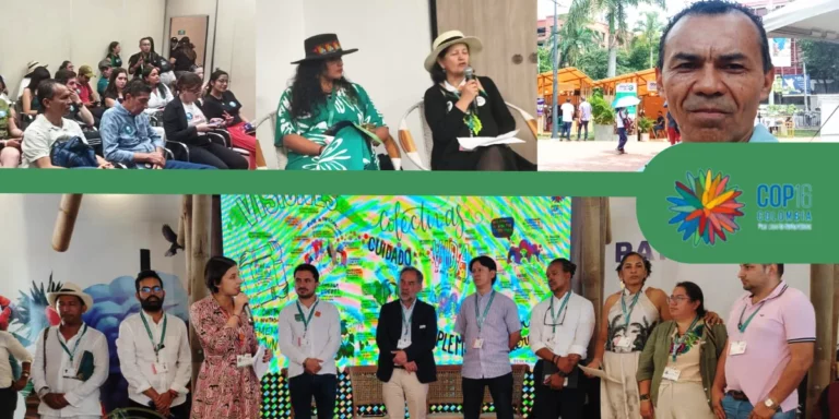 La Gran Juntanza Ambiental por la Biodiversidad: Un llamado a la paz con la Naturaleza en la COP16